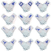 Masonic Blue Lodge Officer Aprons Set of 12 - Gloves , Chain Collars - Jewels